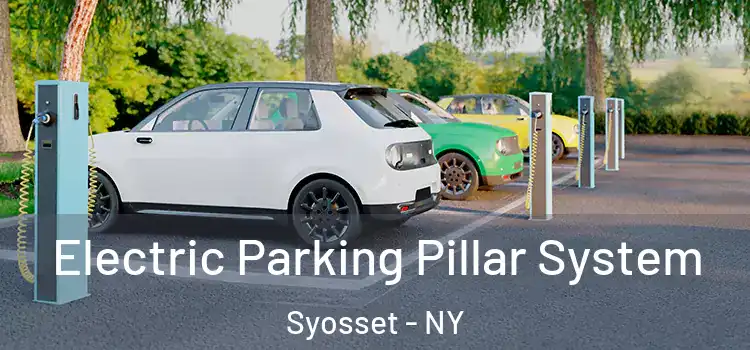 Electric Parking Pillar System Syosset - NY